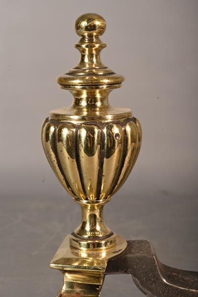 Pair of polished bronze chenêt, 19th century-4