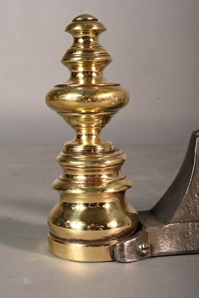 Pair of cast iron and polished bronze andirons-2