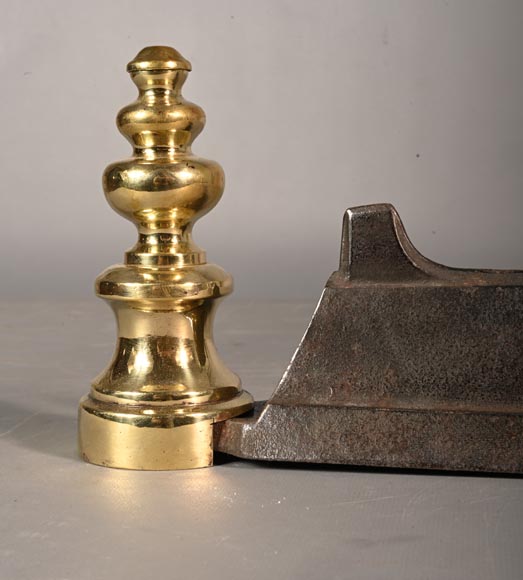 Pair of cast iron and polished bronze andirons-2