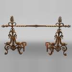 Pair of andirons with flowers and dolphins