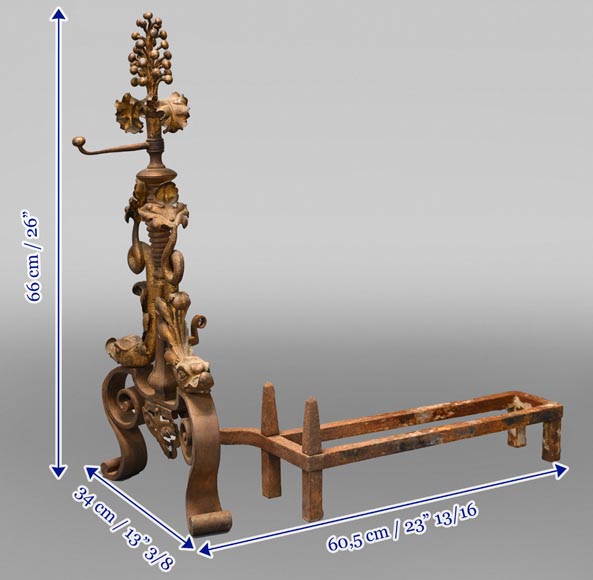 Pair of andirons with flowers and dolphins - Firedogs, andirons