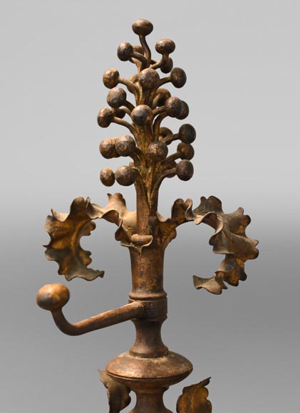 Pair of andirons with flowers and dolphins-6