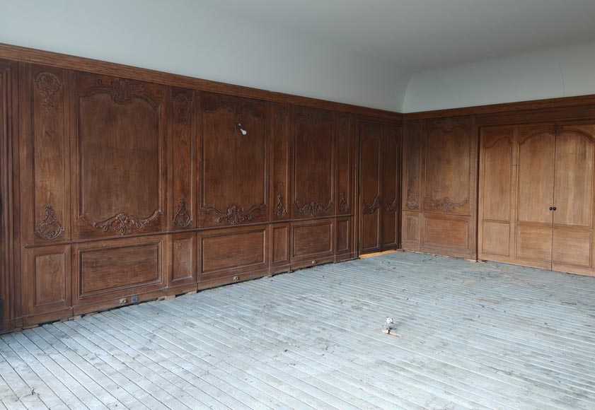 Louis XV Style Carved Oak Boiserie with Antique Elements-0