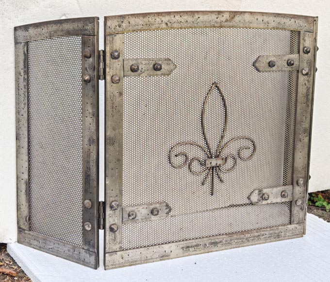 Modern spark screen decorated with a fleur-de-lis-1