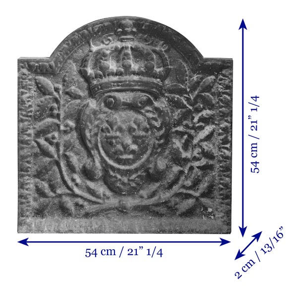 Modern cast-iron fireplace back featuring the Arms of France Modern cast-iron fireplace back featuring the Arms of France-5