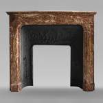 Transition style fireplace with bronze ornaments