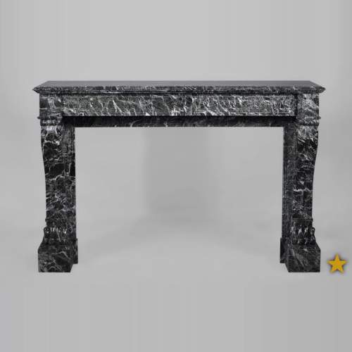 Antique Napoleon III style fireplace with lion's paws in Vert des Alpes marble