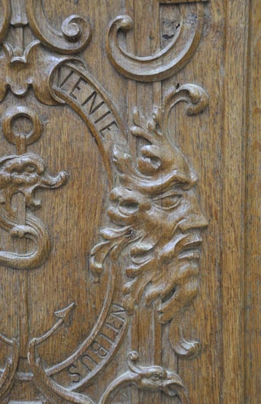 False pair of antique  carved oak doors from the 19th century-2