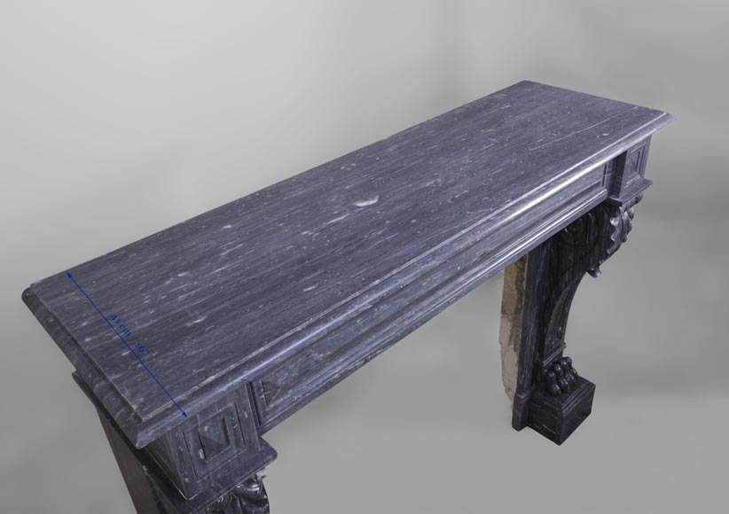 Antique Napoleon III style fireplace with lion's paws in Blue Turquin marble-10