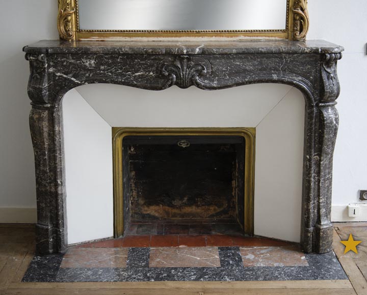 Antique Louis Xv Period Fireplace In Grey Sainte Anne Marble 18th