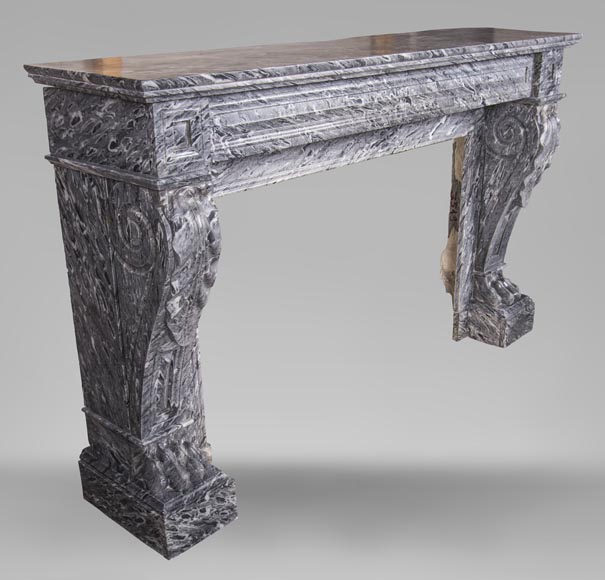 An antique Napoleon III style fireplace, with lion's paws, made out of Bleu Tigré marble-2
