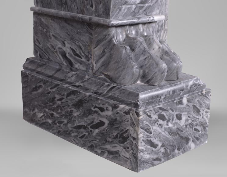 An antique Napoleon III style fireplace, with lion's paws, made out of Bleu Tigré marble-5