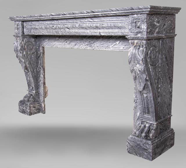 An antique Napoleon III style fireplace, with lion's paws, made out of Bleu Tigré marble-6