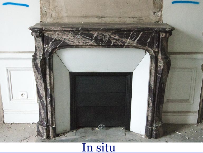 An antique Louis Xv style fireplace, Pompadour model, made out of Campan rubané marble-9