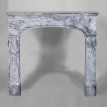 An antique Regency style fireplace, made out of Bleu Fleuri marble
