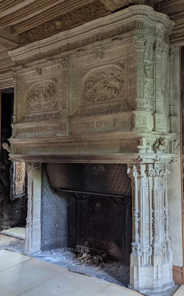 Monumental Stone Fireplace with Philippe Merlan coat of arms-11