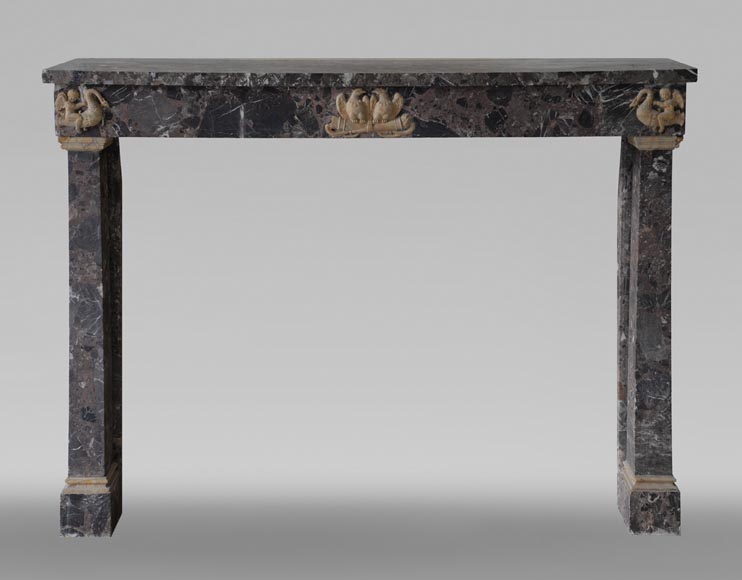 Antique Empire style mantel in Breche de Waulsort and alabaster decors-0