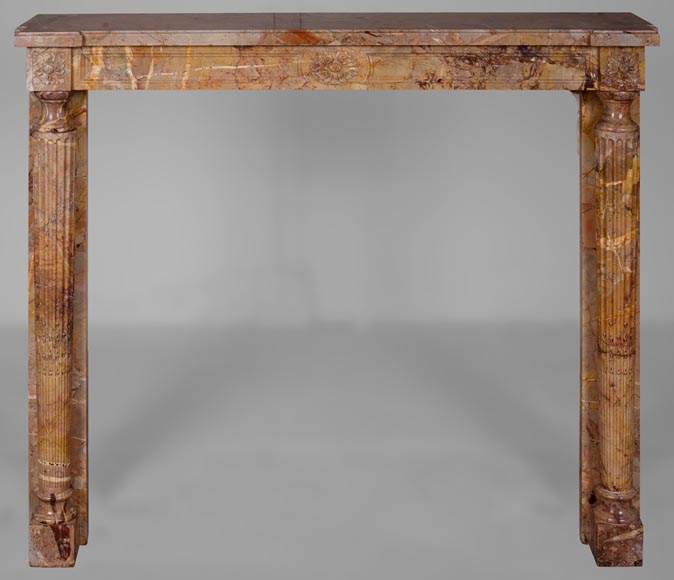 Louis XVI style fireplace with detached columns in Sarrancolin marble-0
