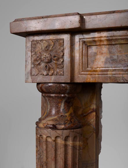 Louis XVI style fireplace with detached columns in Sarrancolin marble-4