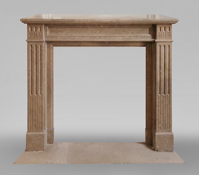 Louis XVI style antique fireplace in Napoléon marble.-0