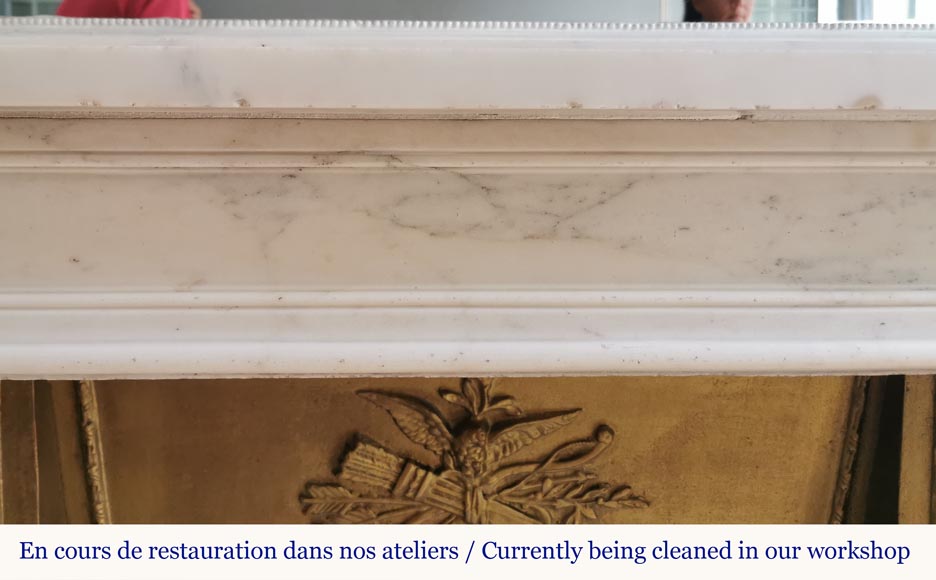 Louis XVI period mantel in statuary marble with poppies-1