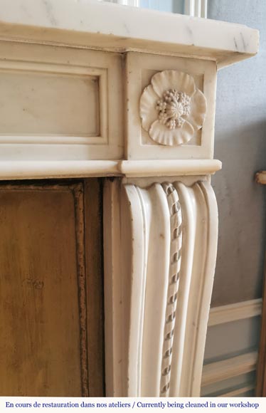 Louis XVI period mantel in statuary marble with poppies-8