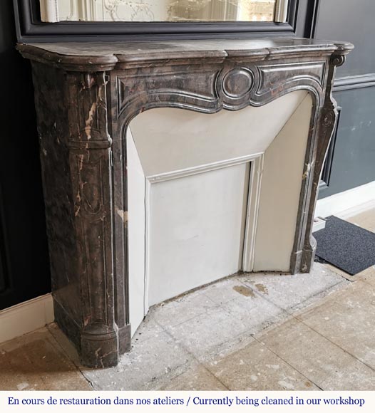 Beautiful Pompadour fireplace made of Bois Jourdan marble-2