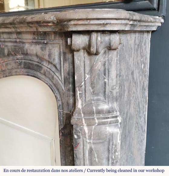 Beautiful Pompadour fireplace made of Bois Jourdan marble-6