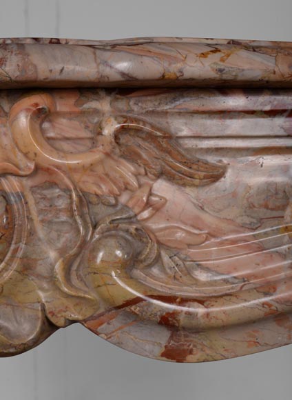 Beautiful Louis XV style mantel in Sarrancolin marble with a Rococo shell-3