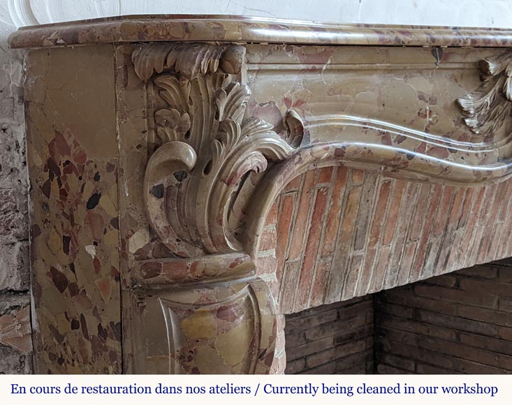 Louis XV period mantel in Alep Breccia with a winged shell-5