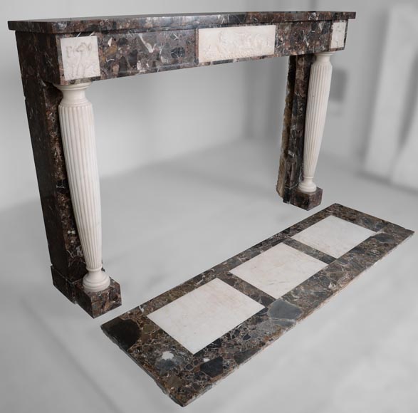 Neo Louis XVI style fireplace in imperator and statuary marble-3