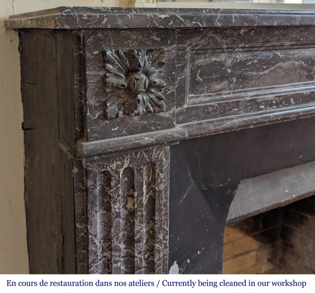 Louis XVI period fireplace in Grey Sainte Anne marble-3