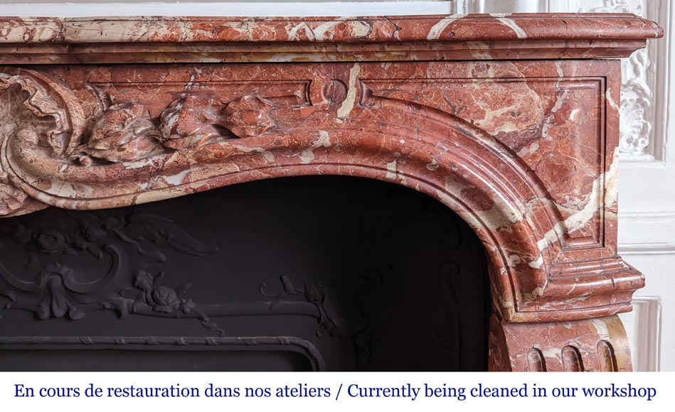 Louis XV style fireplace in Breche de Saint-Maximin marble-8