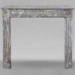 Antique Fireplace from the Louis XVI period in Ardennes gray marble