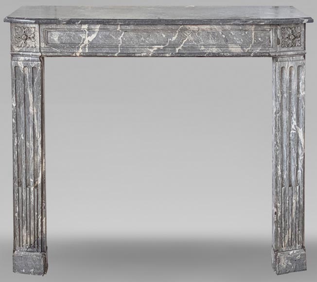 Antique Fireplace from the Louis XVI period in Ardennes gray marble-0