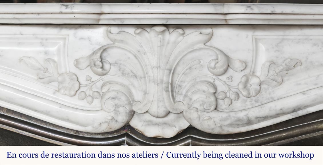 Louis XV style fireplace decorated with a palmette Louis XV style fireplace decorated with a palmette-1