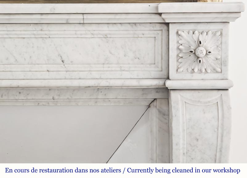  Louis XVI style fireplace in Carrara marble, decorated with sunflowers-6