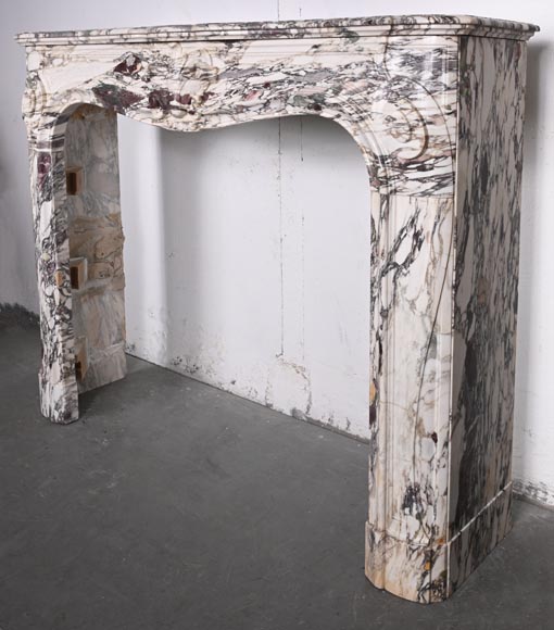 Regency style fireplace decorated with a palmette, in purple breccia marble-6