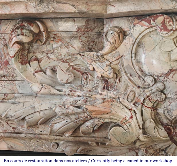 Regency style fireplace, in richly sculpted Sarrancolin marble-3