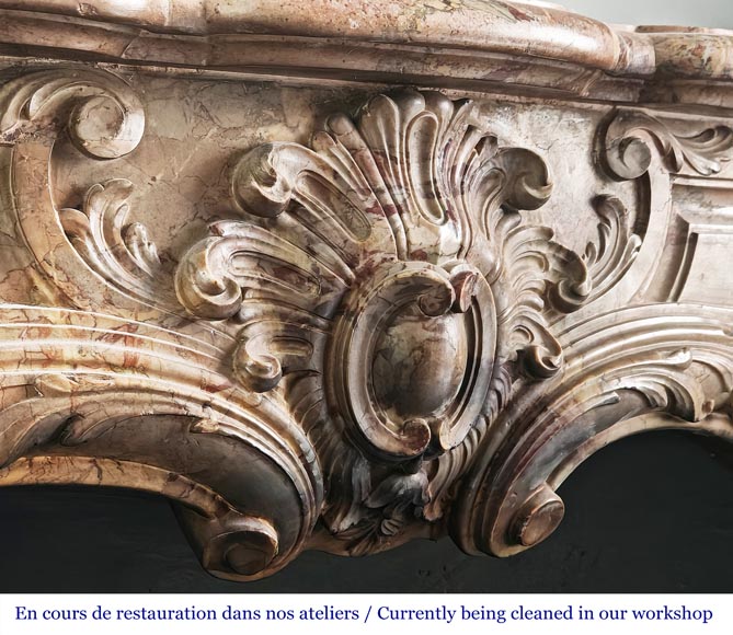 Louis XV style fireplace in highly ornate Sarrancolin marble-2
