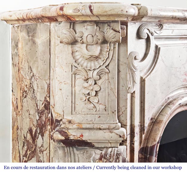 Louis XV style fireplace in highly ornate Sarrancolin marble-5