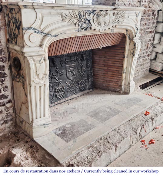 Regency-style Paonazzo marble fireplace, decorated with palm fronds-5
