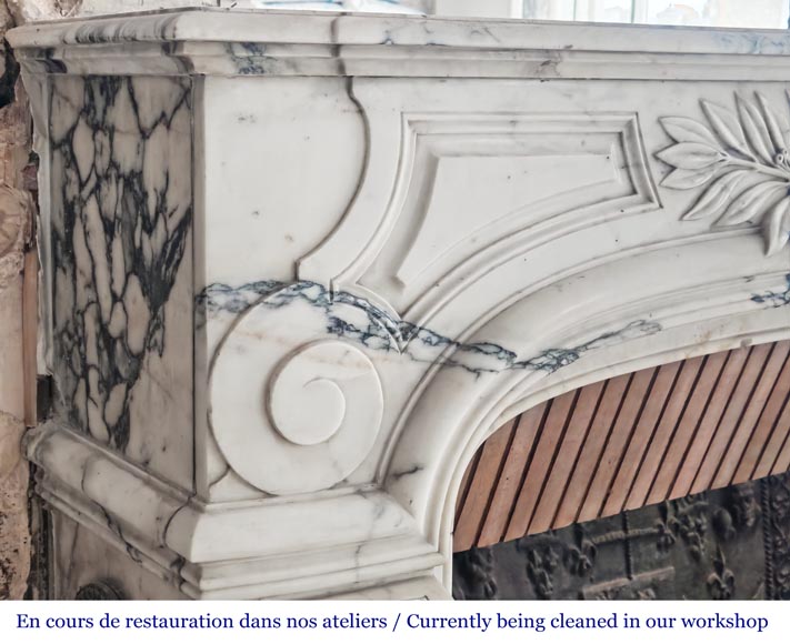 Regency-style Paonazzo marble fireplace, decorated with palm fronds-6