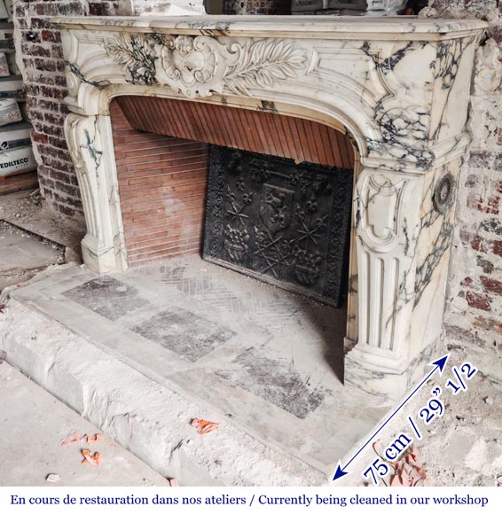 Regency-style Paonazzo marble fireplace, decorated with palm fronds-9