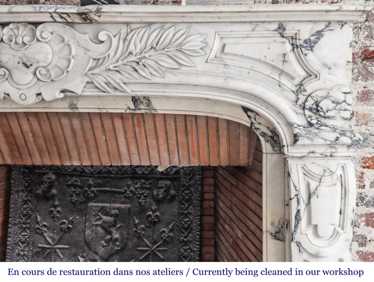 Regency-style Paonazzo marble fireplace, decorated with palm fronds-10